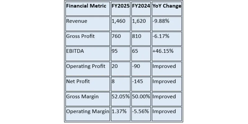Financial Summary Table